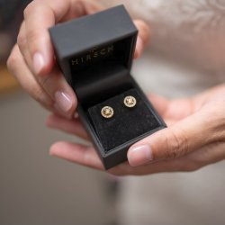 CLASSIS HALO CHAMPANGEROSETTER