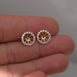 CLASSIS HALO CHAMPANGEROSETTER