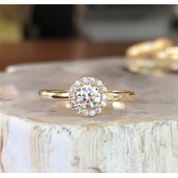 HALO ROSETRING MED 0.50 CT DIAMANT TW/VS