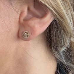 CLASSIS HALO CHAMPANGEROSETTER